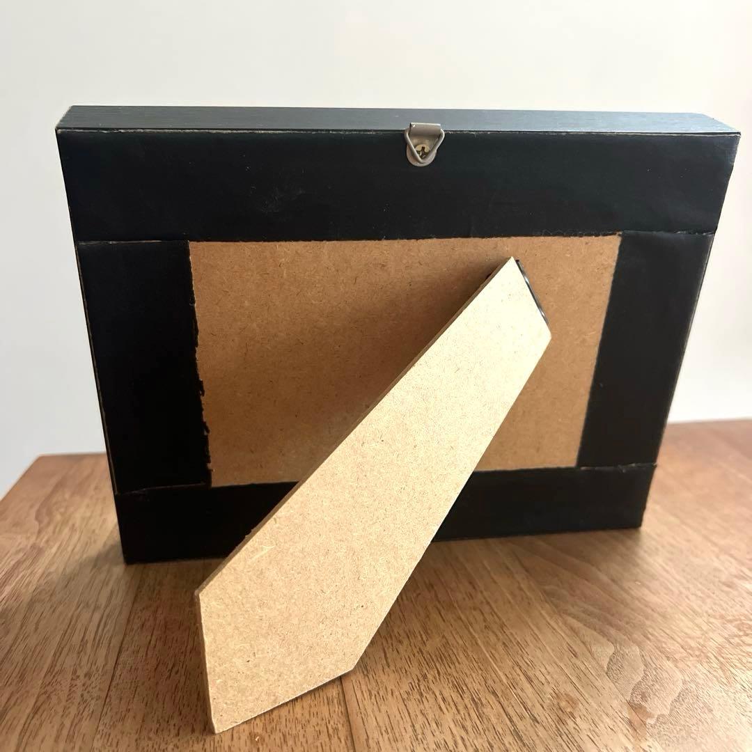 フレーム入り ボルネオ島クワガタムシ 標本