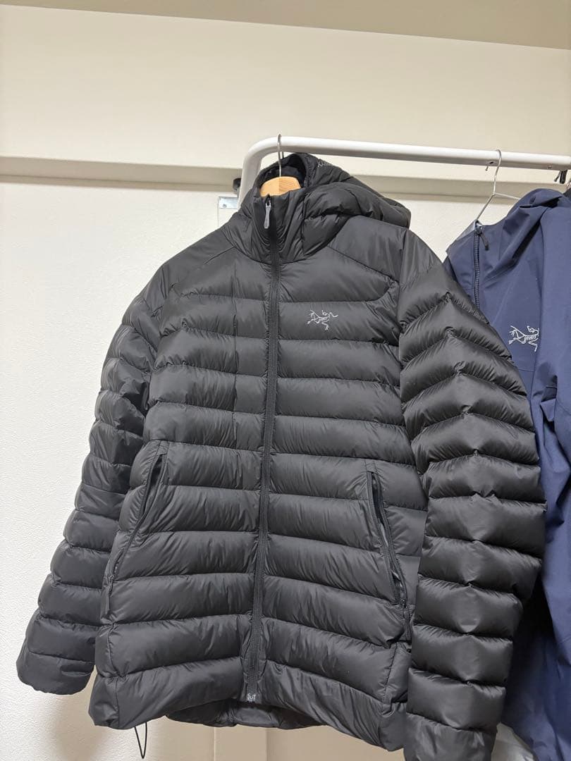 ピシ様専用！ 富岡多恵子先生 動物の葬禮 直筆ご署名入り本➕️野中