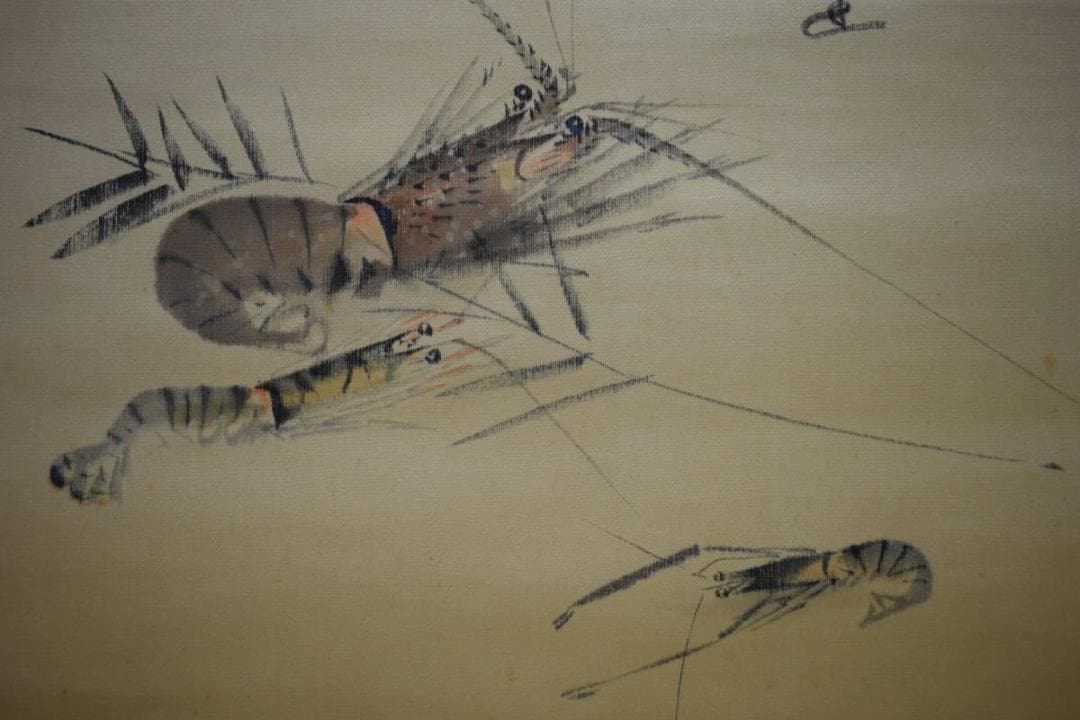 真作/小山栄達（画）/中村不折（賛）/海老画賛/絖本/布袋屋掛軸HE-424