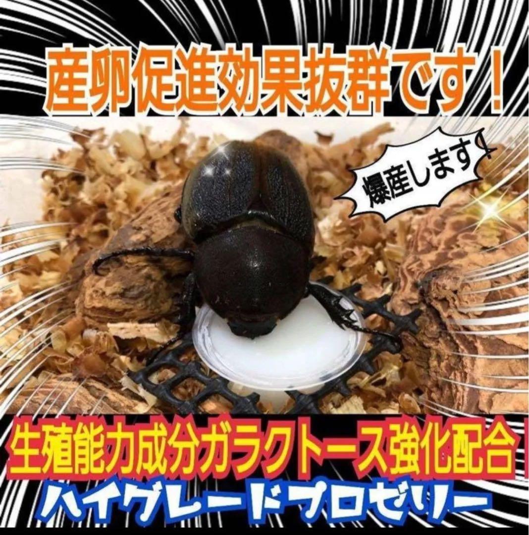 特選ハイグレードプロゼリー500個☆産卵促進・長寿に抜群！食べやすい