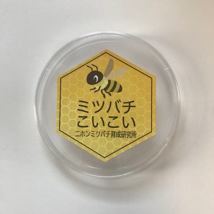 最新 誘引ルアー 4つセット ニホンミツバチの誘引に 蜜蜂誘引剤