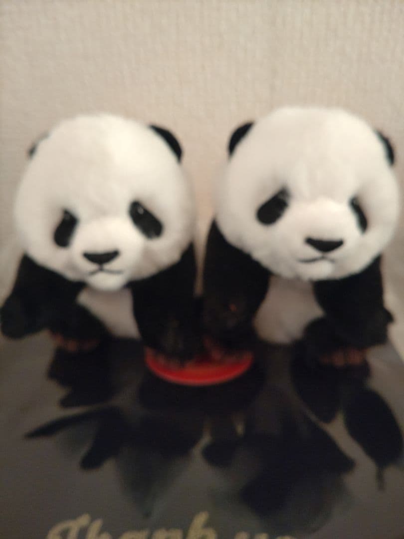 上野動物園　パンダぬいぐるみとＴシャツ