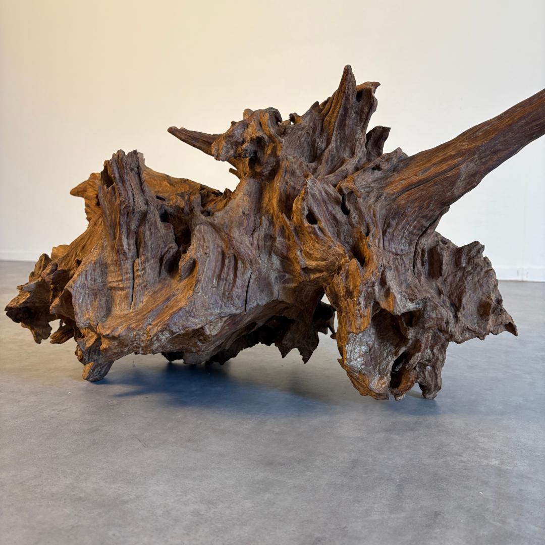 御神木 アート インテリア 生花 オブジェ