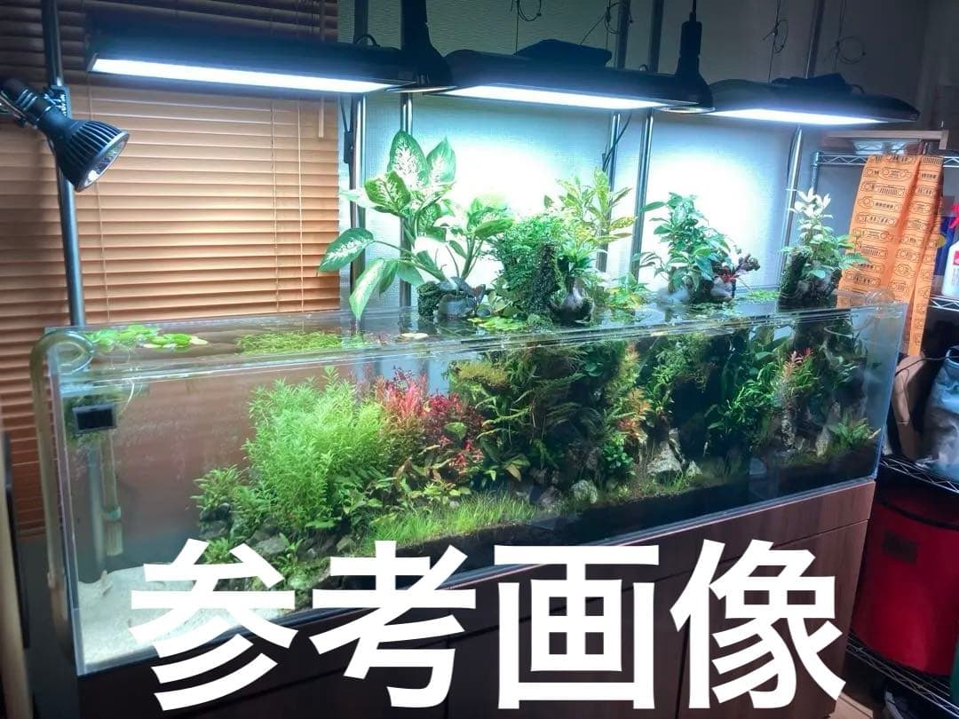 ADA ソーラーRGB 水槽用LEDライト 高級品