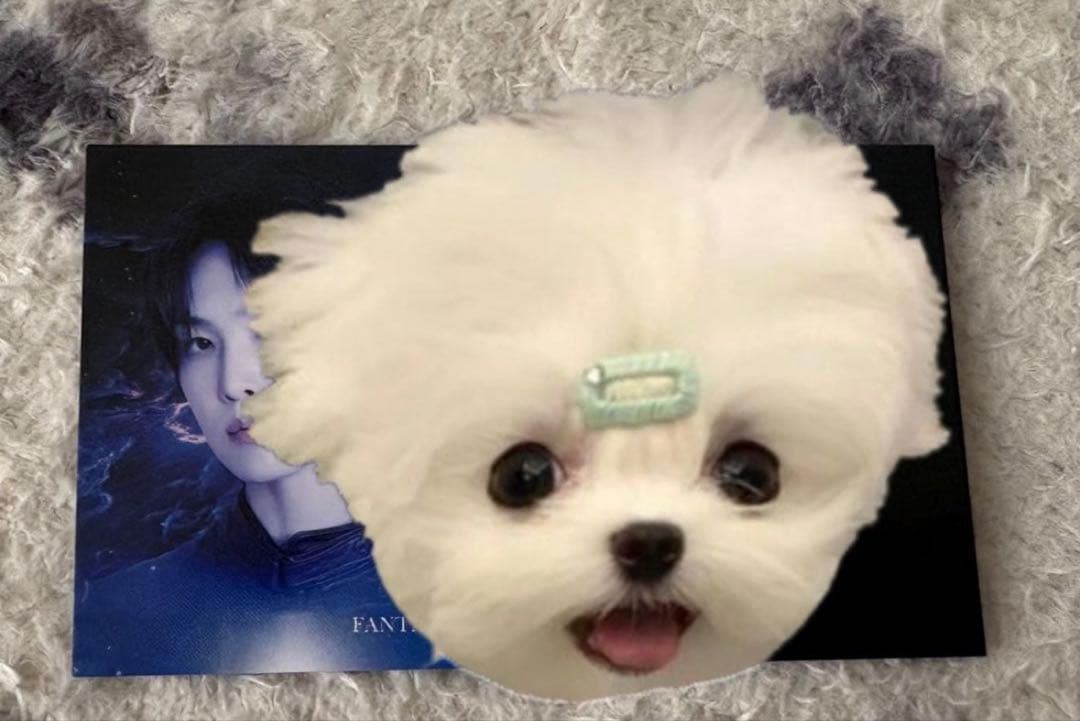 堀夏喜 FANTASTICS ファンタ Thankyouカード お渡し会 - メルカリ