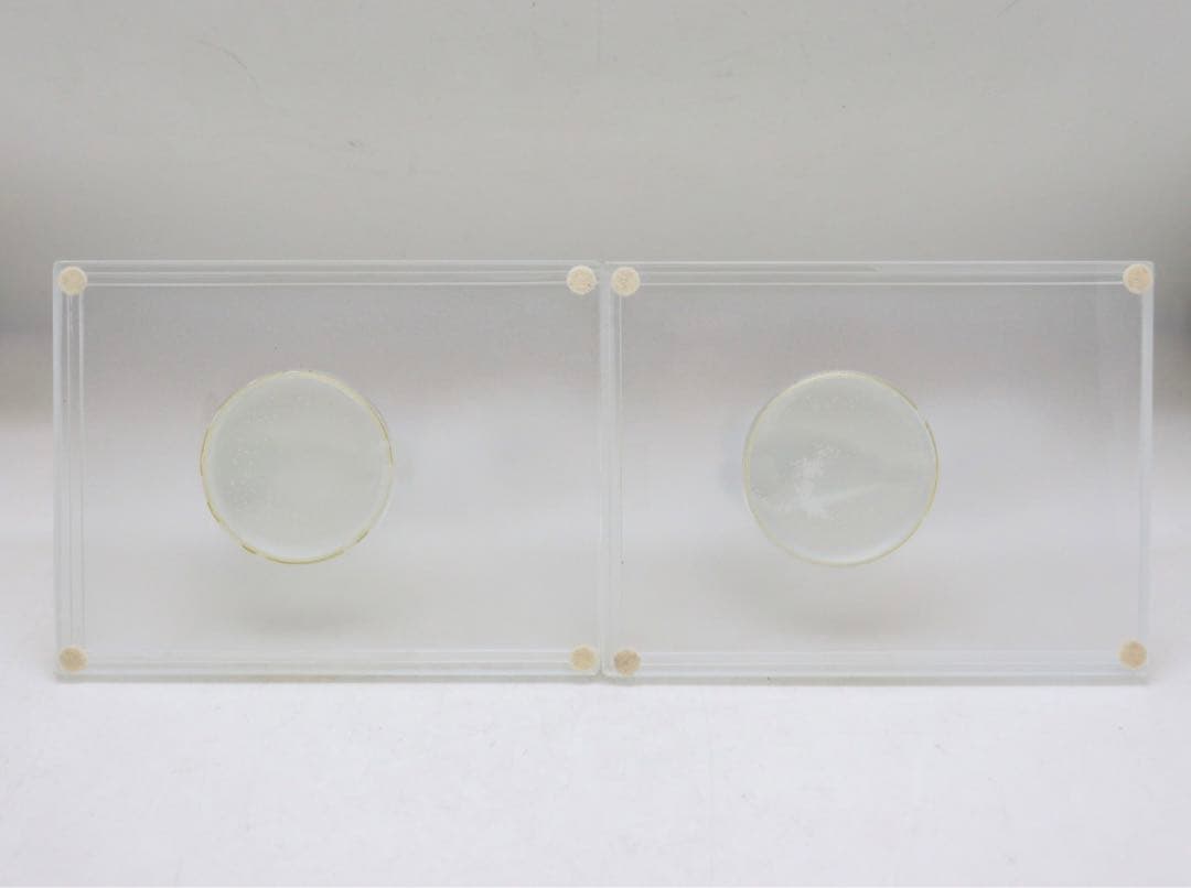 ラリック　クリシス　フロステッド　クリスタル　裸婦　フィギュリン　置物　女性