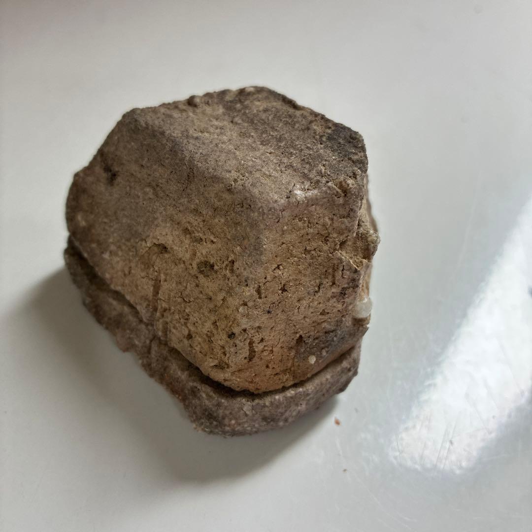 香合 信楽焼 狸 香斉【中古美品】の通販 by 茶道用品(茶碗・帛紗・茶杓