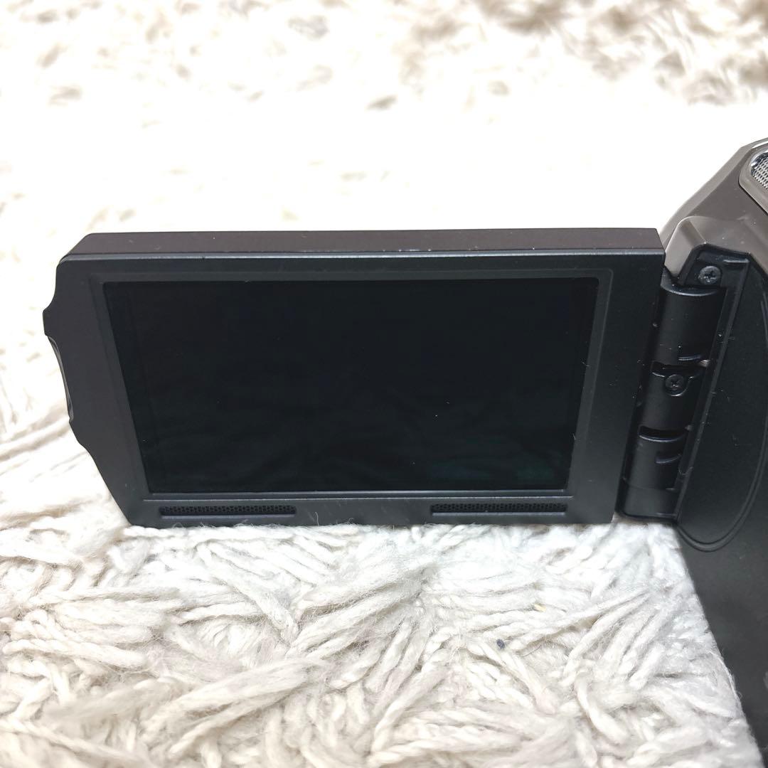 【極希少】SONY Handycam HDR-CX560v NP-FV100付き