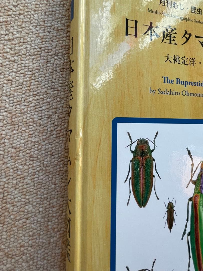 むし社 on X 【むし社】日本産タマムシ大図鑑