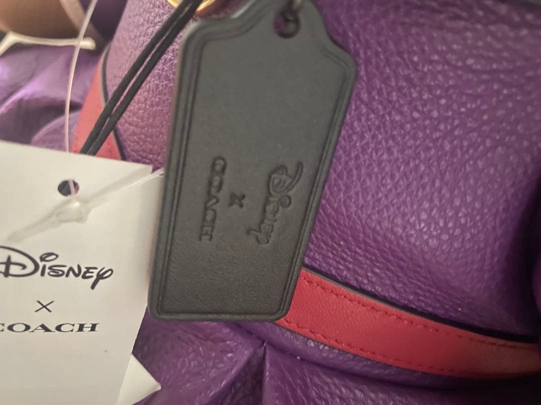 Disney x Coach コレクター向けぬいぐるみ