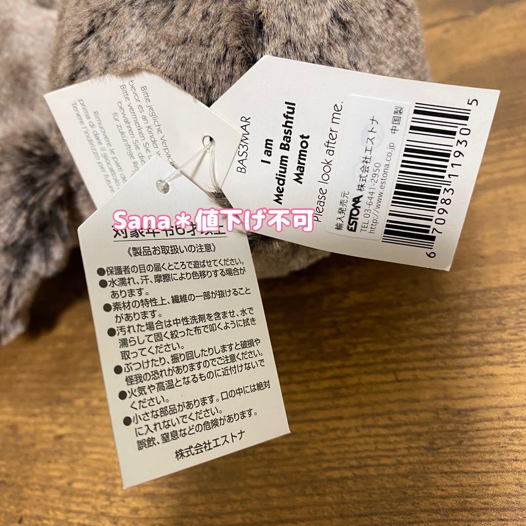 新品　廃盤　希少　 Bashful Marmot マーモット