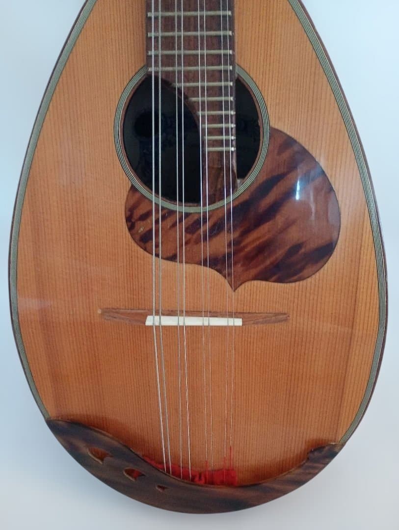 Calaceカラーチェ Mandolinマンドリン【No.24】