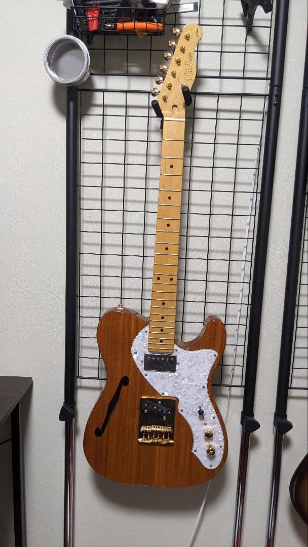 フジゲン テレキャスター シンライン