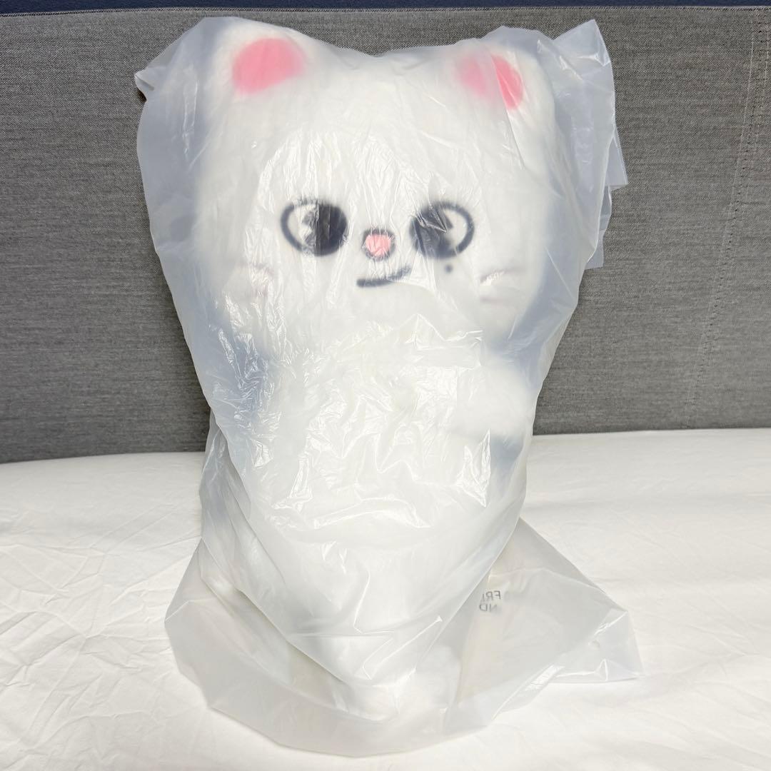 straykids celebrATE プラッシュバッグ ジニレット ヒョンジン