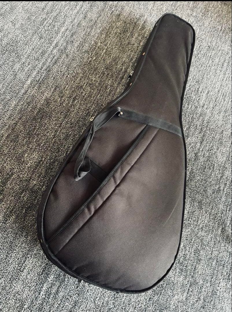 P.U、セミハードケース付き RECORDINGKING RO-G6 used - メルカリ