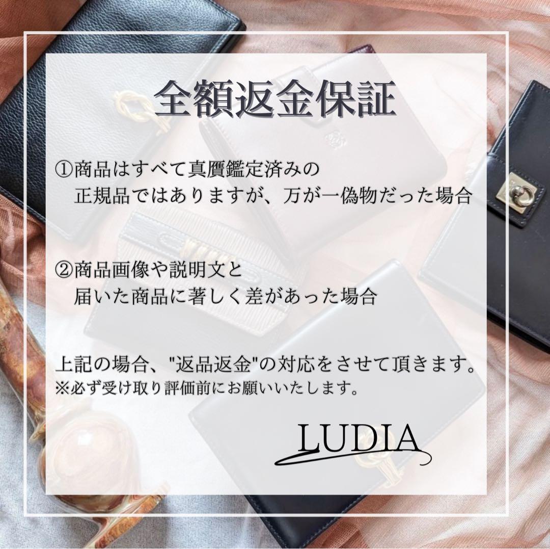 ✨新品未使用・箱保証書付✨　PRADA ミニ財布　シボ革　L字ファスナー ダイノ