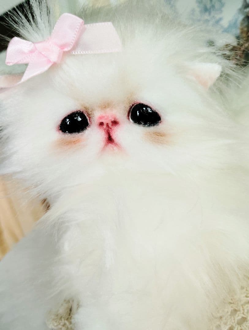 可愛いキャンディちゃん❤エキゾチック子猫ちゃん♡アートドール