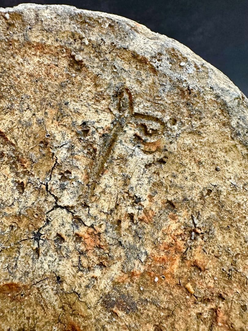 ⭐️蔵出し❣️貴重⭐️】信楽焼 蹲(うずくまる) 壺•花入 古格抜群 古