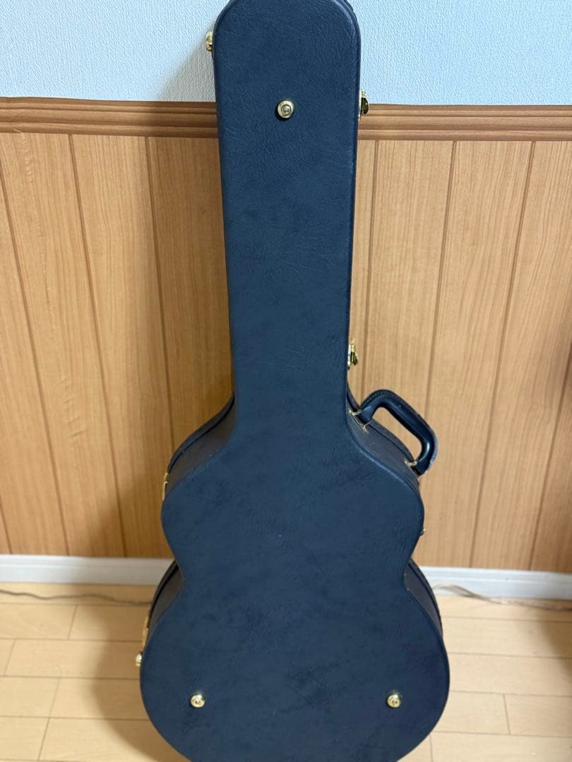 T’s guitars Arc Hollow Jazz