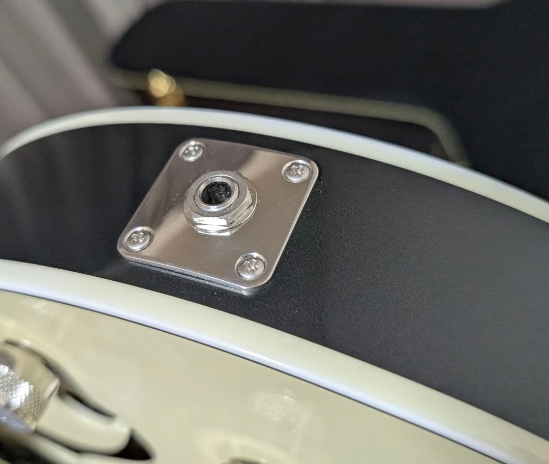 GRETSCH G6118T LIV ANNIVERSARY グレッチ