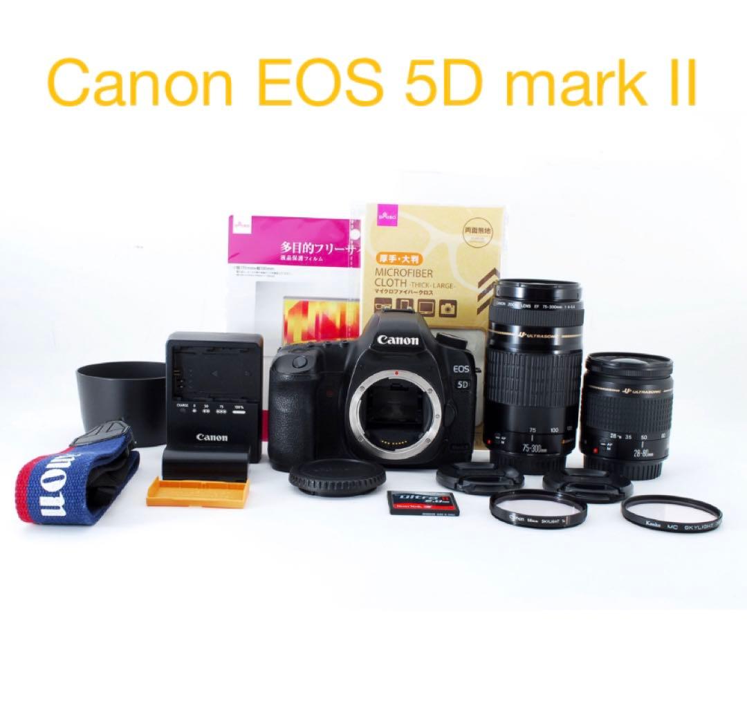 キャノン Canon EOS 5D mark II ダブルレンズセット