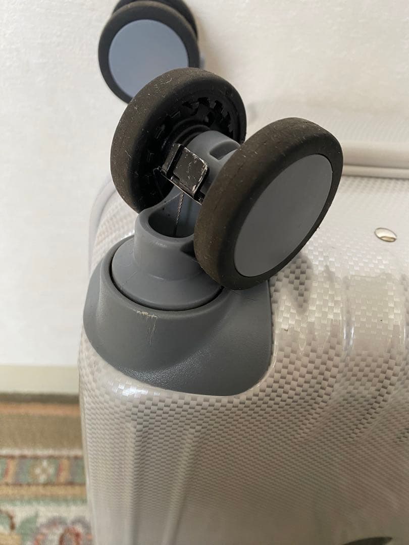 ace.パリセイド3-Z 0691006スーツケース キャスターストッパー21L ace