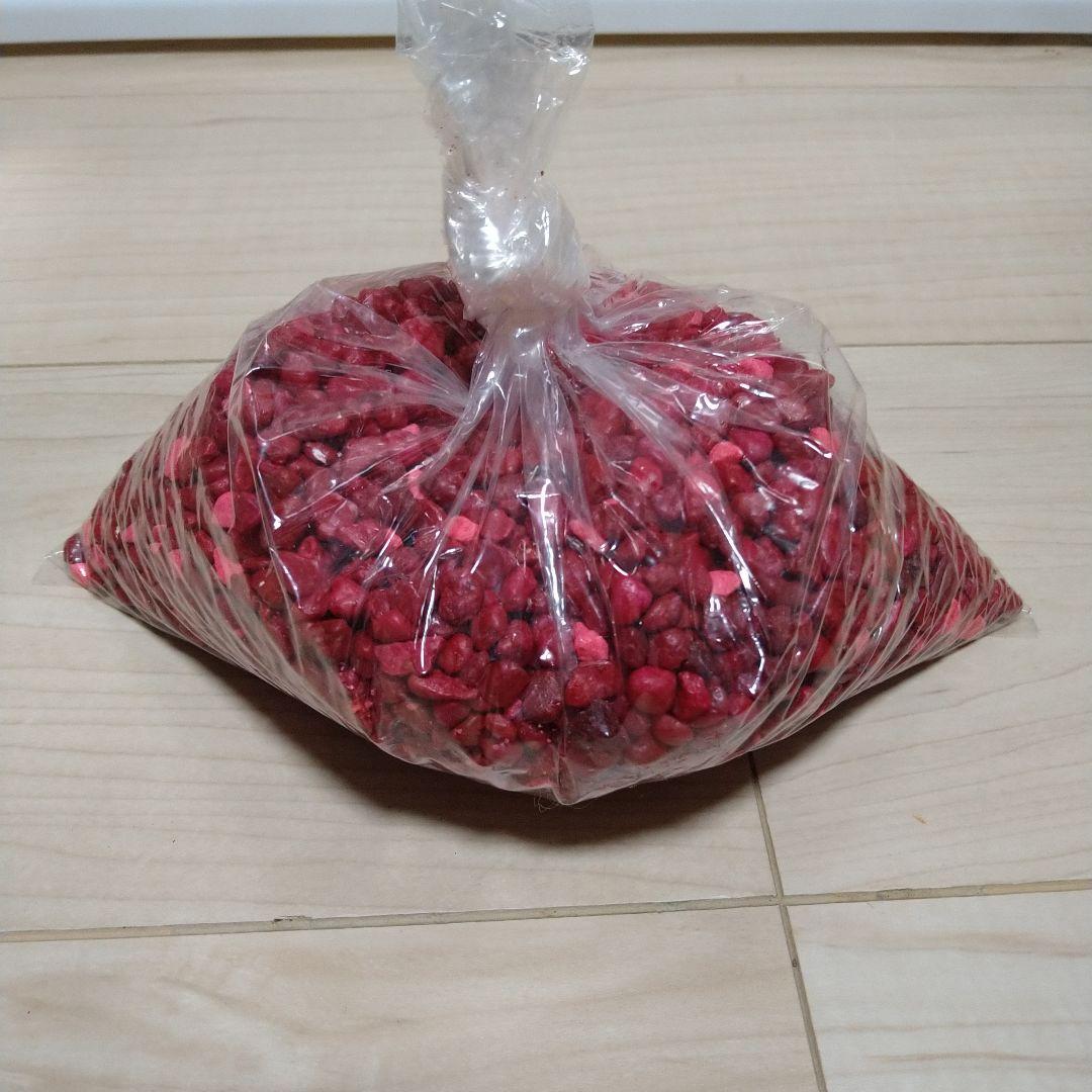 ディズニー水槽 ミッキーマウス アクアリウム ディズニー ミッキー