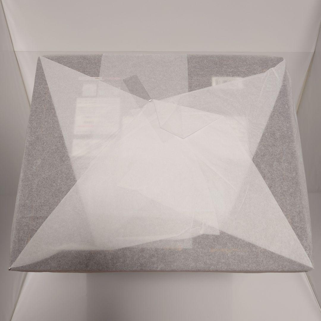 【未開封・最終価格】フランドール・スカーレット ALTER フィギュア