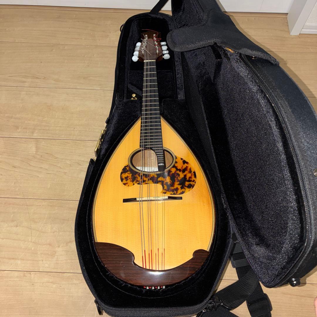 TSUNEO FUJIMARU MODEL ikegaku ANNO マンドリン TSUNEO FUJIMARU MODEL ikegaku ANNO マンドリン カラーチェマンドラNo