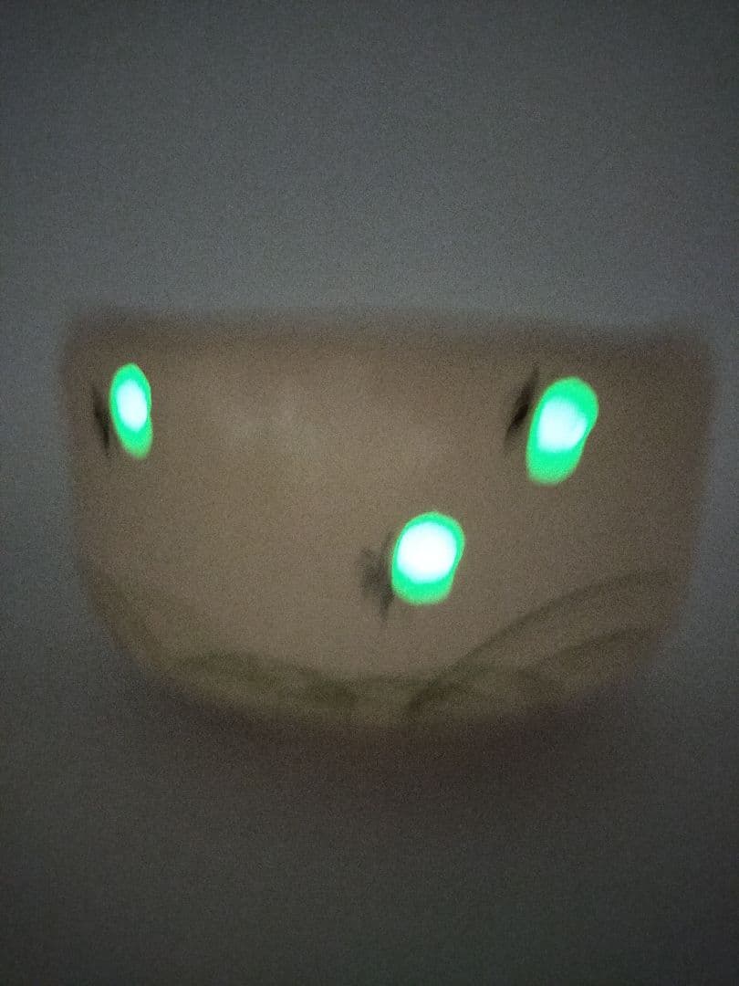 c664 茶碗 白楽 蛍火(闇光) 桂窯 伊東桂楽 木箱 茶道具 古物 Yahoo!