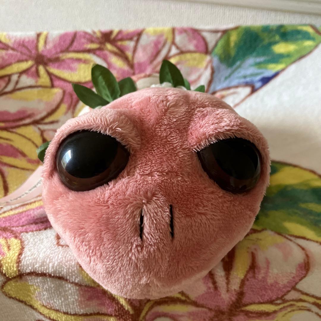 ロイヤルハワイアンホテル ぬいぐるみ ホヌ かめ