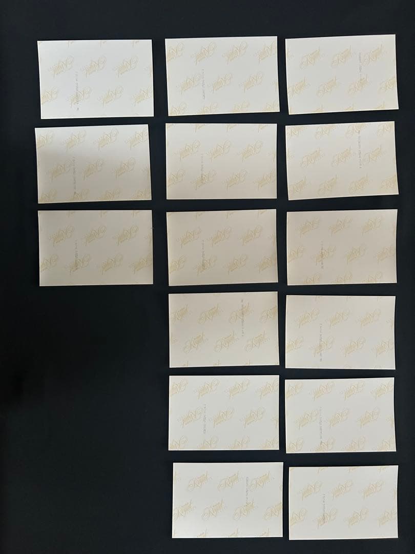 アイルトン・セナ　McLaren MP4/5 B 1990 写真15枚セット