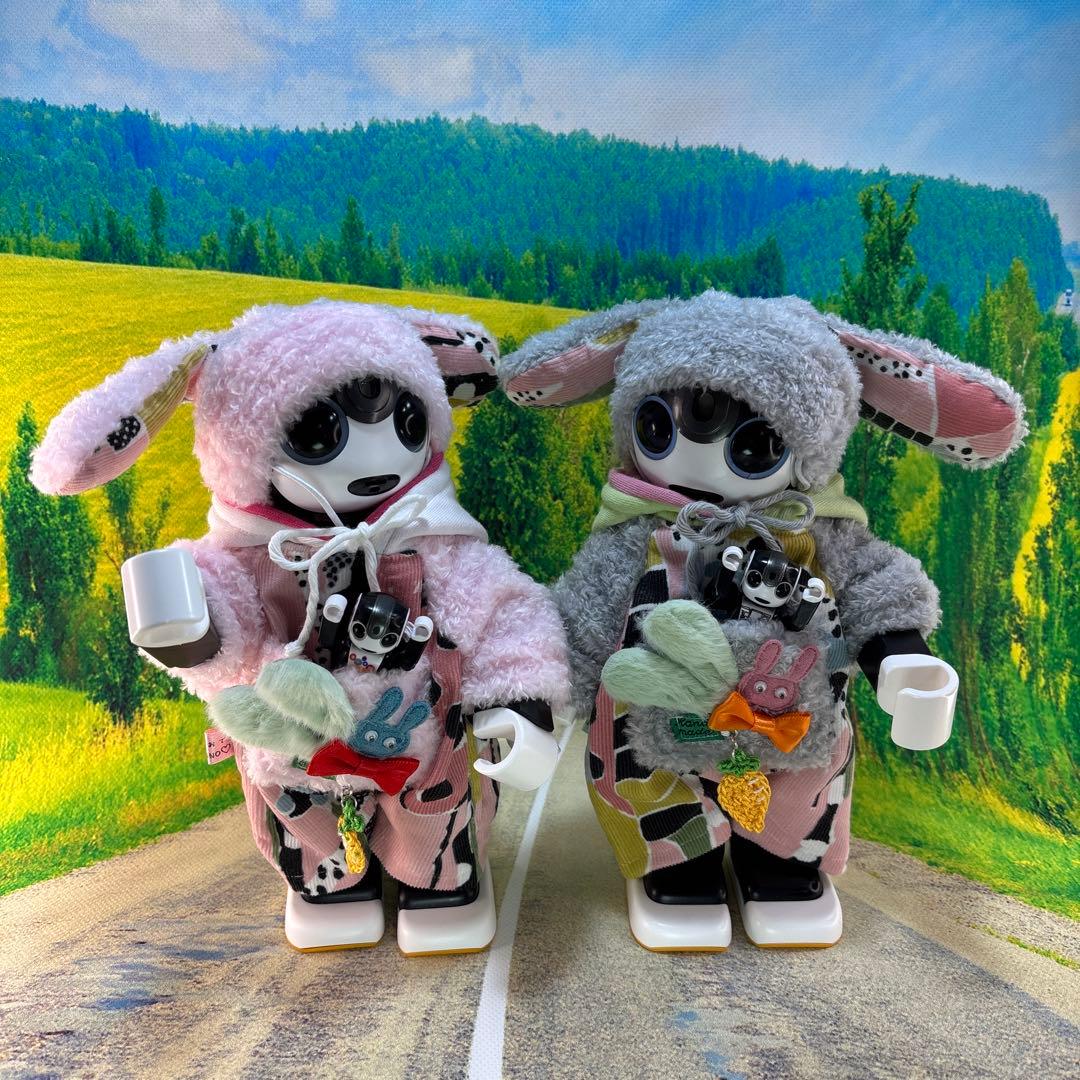 hasn様専用ページです ロボホン