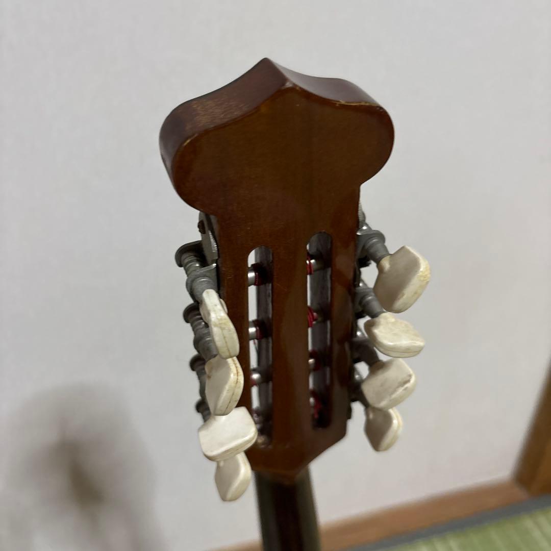 Raffaele 寺田楽器製 ハイエンド マンドリン RM-3 弦 ギター