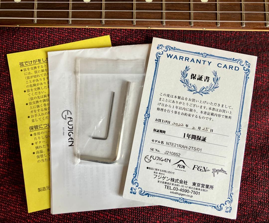 FGN 上位機種 テレキャス NTE21RAH アッシュ美品