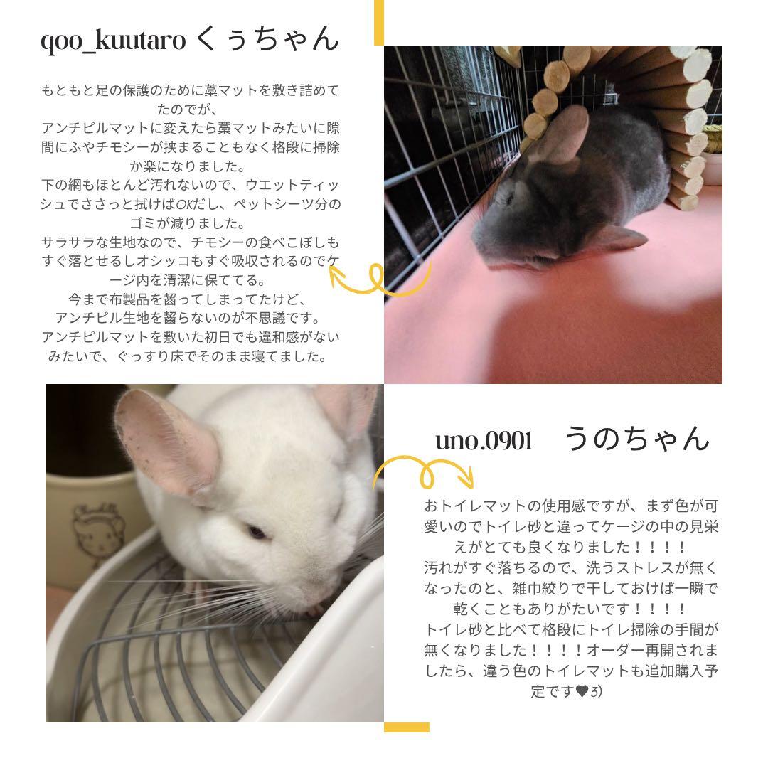 海外アンチピルマット 商品紹介ぺージ