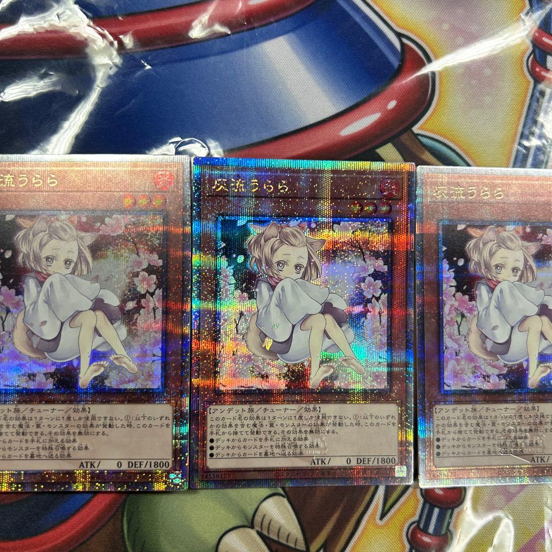 遊戯王　灰流うらら　絵違い　25thシク　3枚セット　極美品　良座標