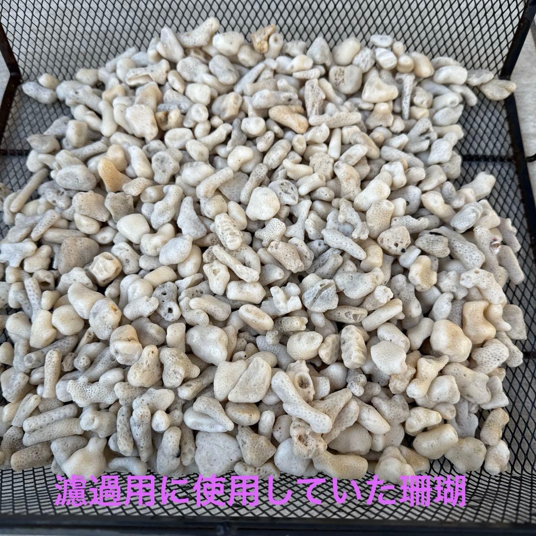 【値下げ】ガラス水槽 SET※ ゆとさん専用