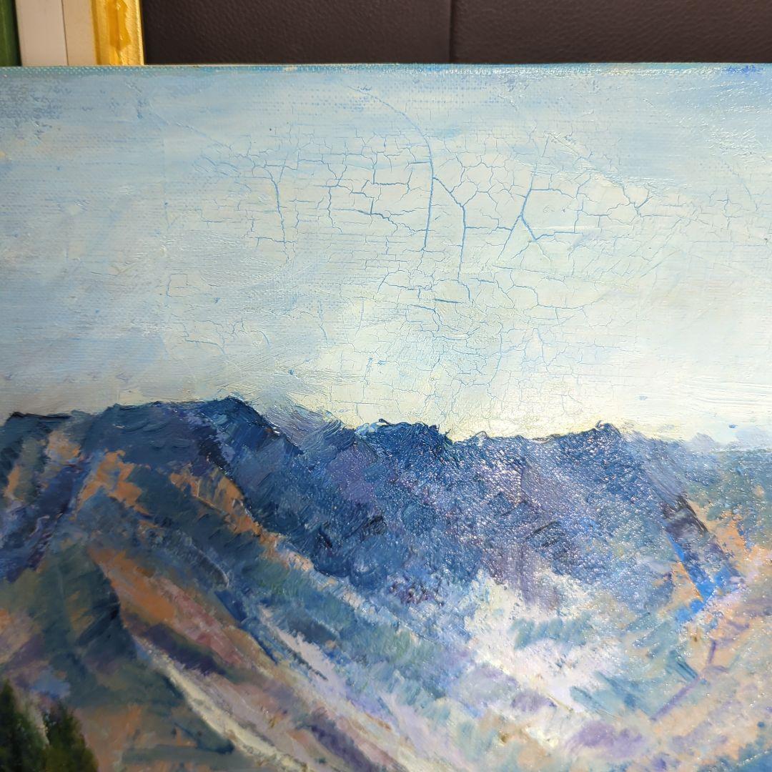 F12号油彩画（額縁入り)No.46