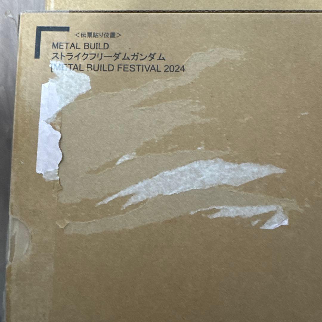 メタルビルドストライクフリーダム＆光の翼オプションセット