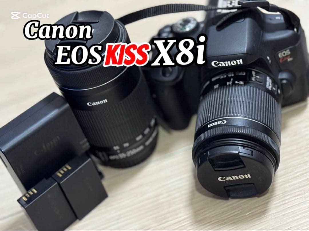 Canon デジタル一眼レフカメラ レンズ2本セット