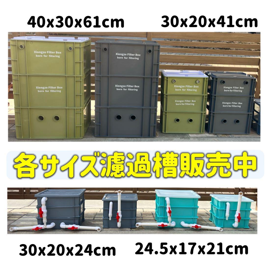 沈殿物理生物一体型濾過槽 外部式濾過装置器 水槽濾過バイオスポンジ