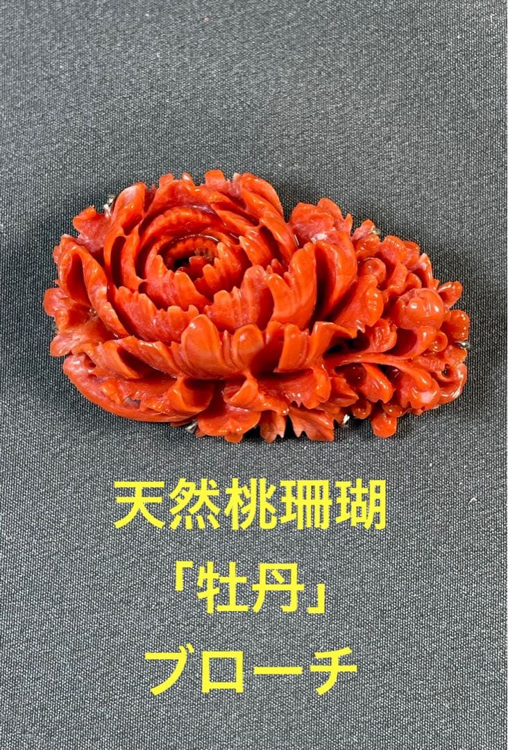 本赤珊瑚ブローチ、彫刻、帯留78g 東Y7-0217☆2Fトヒニ