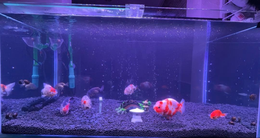 ADA 90センチ水槽 水槽台セット 引取り限定