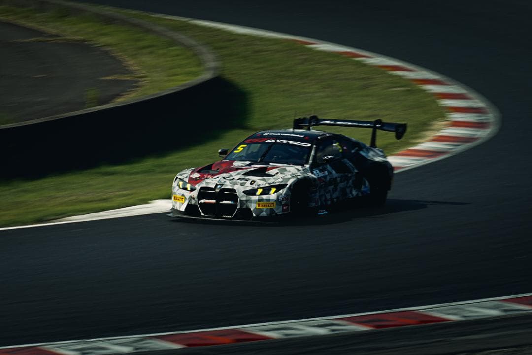 sony 望遠 55 - 210mm f4.5-6.3