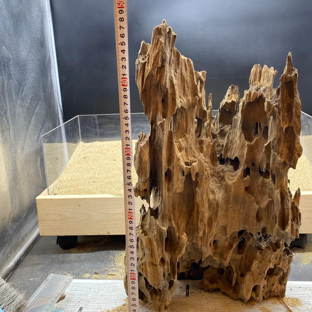 MMW-6273 特大マシンガンウッド 自立一点物 流木 アクアリウム