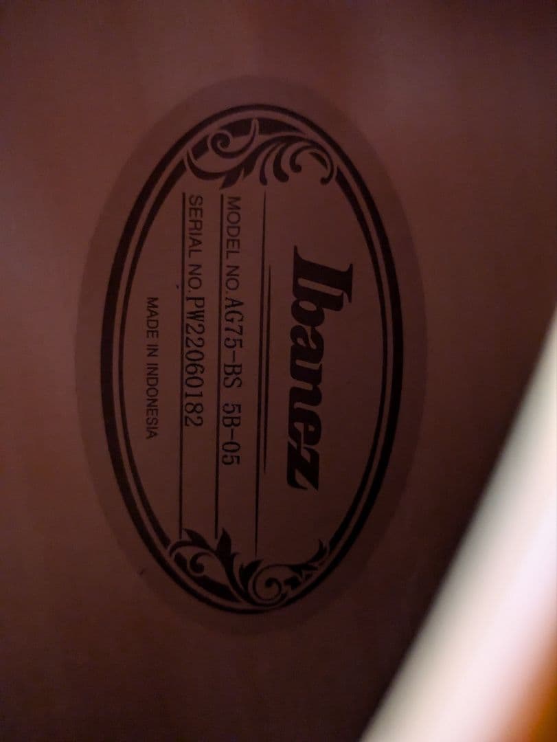 【4/24迄!最終価格】Ibanez AG75 BS　エレキギター フルアコ