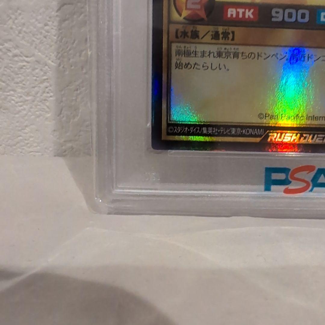 ドンペン&ドンコ