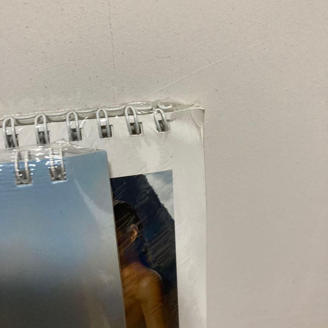 エミリー　ラタコウスキー　カレンダー　2017年と2018年