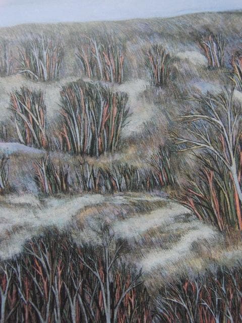 香川亮、【風の銀林】、希少な額装用画集より、新品額装付